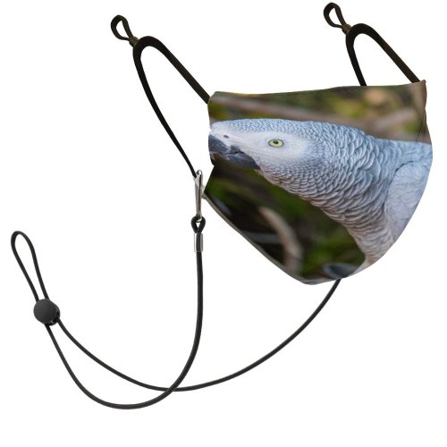 YANFIND Mask with Filter Element African Grey Parrot Animal Photography Avian Beak Bird Bokeh Branch Close Dust Washable Reusable Filter and Reusable