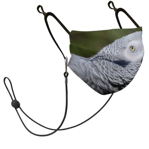 YANFIND Mask with Filter Element African Grey Parrot Animal Photography Avian Bird Close Up Feathers Plumage Psittacus Dust Washable Reusable Filter and Reusable