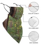 Yanfind Ear Loops Balaclava Window Muir Woods Forest Scenery Hdr Framing Perspective Wood Wooded Wooden Foliage UV Protection Face Bandanas Scarf for Women Men Motorcycle