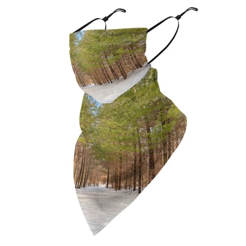 Yanfind Ear Loops Balaclava Winter Pine Trail Trees Hdr Bench Path Pathway Way Passage Passageway Tree UV Protection Face Bandanas Scarf for Women Men Motorcycle