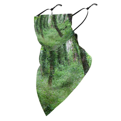 Yanfind Ear Loops Balaclava Woods Trees Trunks Floor Forest UV Protection Face Bandanas Scarf for Women Men Motorcycle