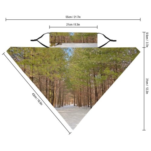 Yanfind Ear Loops Balaclava Winter Pine Trail Trees Hdr Bench Path Pathway Way Passage Passageway Tree UV Protection Face Bandanas Scarf for Women Men Motorcycle