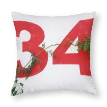 Polyester Pillow Case Numbers Wall Plants Leaves Number Flora Plant Pot Envelope Mail Branch
