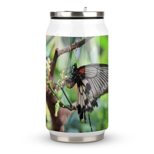 Coke Cup Wood Summer Leaf Tree Outdoors Wild Insect Fly Growth Wildlife Wing