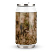 Coke Cup Wood Field Dry Garden Outdoors Wild Insect Fly Grasshopper Creepy Wildlife
