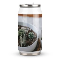Coke Cup Wood Desert Dry Pot Leaf Flower Health Cactus Flora Growth Still