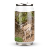 Coke Cup Wood Grass Park Leaf Tree Fur Deer Outdoors Wild Wildlife Horn Antelope