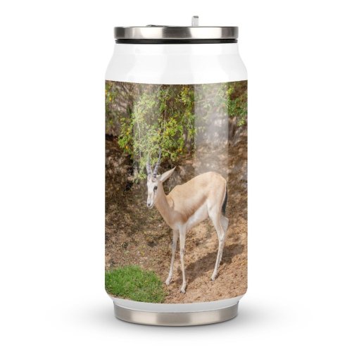 Coke Cup Wood Grass Park Leaf Tree Fur Deer Outdoors Wild Wildlife Horn Antelope