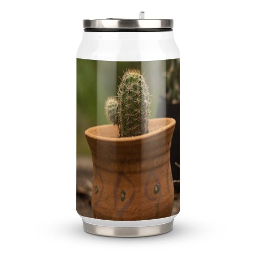 Coke Cup Wood Desert Garden Pot Leaf Flower Outdoors Flora Growth Barrel Little Container