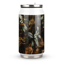 Coke Cup Wood Light Dawn Texture Garden Grass Leaf Tree Flower Outdoors Insect