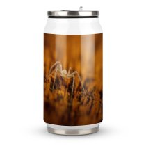 Coke Cup Wood Sunset Outdoors Insect Creepy Scary Wildlife Daylight Eerie Arachnid
