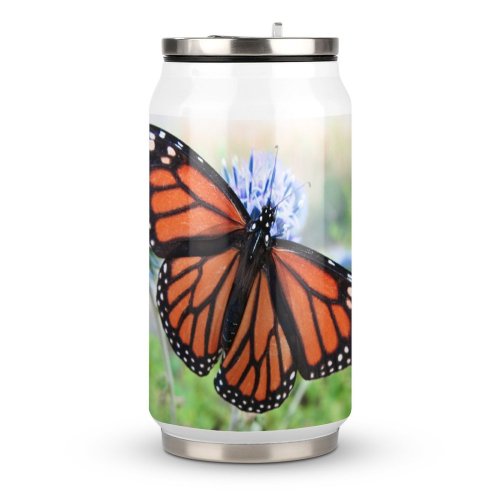 Coke Cup Cacoon Moths Footed Flower Insect Pollinator Monarch Invertebrate Butterfly Insect Cynthia