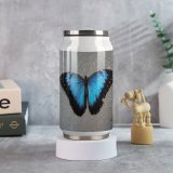 Coke Cup Wood Summer Outdoors Insect Fly Butterfly Tropical Wildlife Wing Biology Delicate Invertebrate