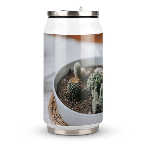 Coke Cup Wood Desert Dry Leaf Health Outdoors Cactus Ingredients Flora Growth Still