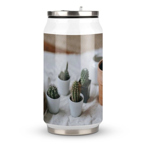 Coke Cup Wood Desert Winter Pot Table Leaf Rustic Flower Room Christmas Cactus Flora
