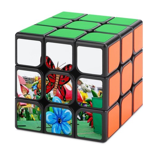 Magic Cube 3x3x3 Abstract Alebrije Art Carving Colorful Colour Craft Decorative Desert Design Gecko Handmade