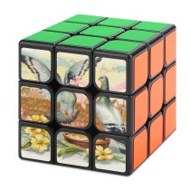 Magic Cube 3x3x3 Easter Postcard Vintage Wishes Wish Greetings Eastertide Celebrate Pigeon Pigeons