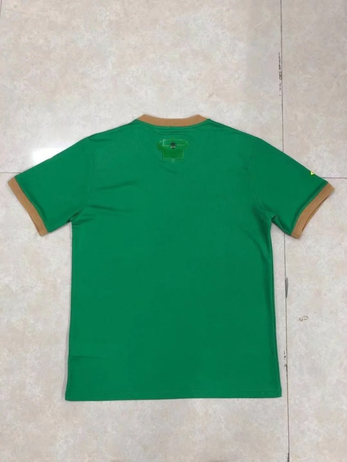 21-22 Palmeiras special version green soccer jersey football shirt