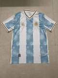 22/23 New Adult Argentina Commemorative Edition soccer jersey football shirt #20362818