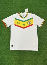 22-23 Adult Thai version  FIFA  World Cup Qatar 2022  Senegal soccer jersey football shirt