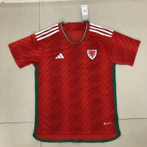 22-23 Adult Thai version  FIFA  World Cup Qatar 2022  Welsh   soccer jersey football shirt