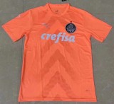 22/23 fan version Adult  Palmeiras  goalkeeper soccer jersey football shirt