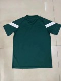 23/24 fan version Adult  Palmeiras  training suit  soccer jersey football shirt