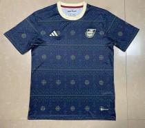 23/24 fan version Adult Jamaica soccer jersey football shirt