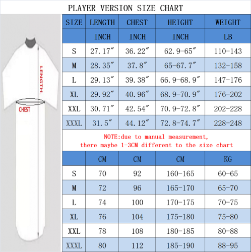 23/24    Player version Denmark  training suit