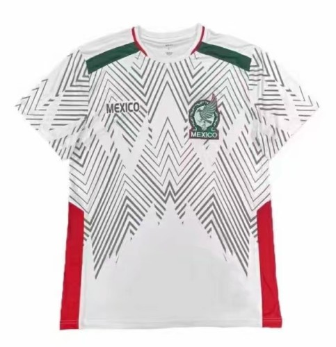 23/24 fan version Adult  Mexico national  training suit