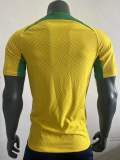 player Style 22/23 Brazil trainning Jersey Soccer Jersey football shirt