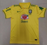 22/23 Adult Thai version Brazil polo club soccer jersey football shirt