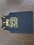 Men Los Angeles Lakers James city edition black basketball jersey 23