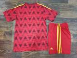 22 World Cup Spain home soccer uniforms football kits