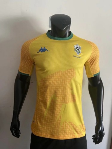 player Style 2022 Gabon home Africa Cup soccer jersey football shirt