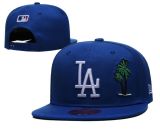 Adjustable sun protection hat, trendy brand (LA)