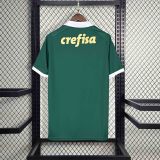 24/25 Palmeiras home | Fan Version