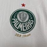 24/25 Palmeiras away  | Fan Version