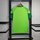 24/25 Palmeiras Training wear | Fan Version