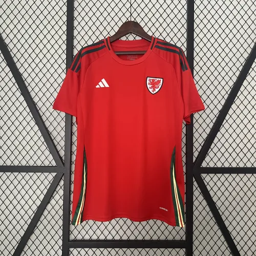 2024 Wales Home  | Fan Version