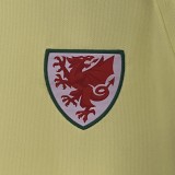2024 Wales Away  | Fan Version