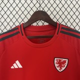 2024 Wales Home  | Fan Version