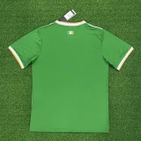 24/25 Celtic Special Edition Men Jersey | Fan Version