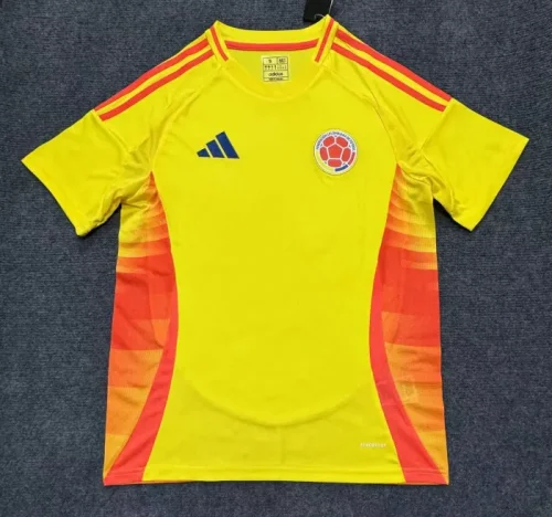 2024  Colombia Copa America Home Man Jersey | Fan Version