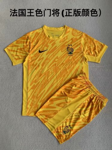24/25 Frence Yellow Goalkeeper Adult Uniform