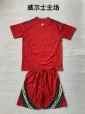 2024 Wales Euro Home Kids Kit