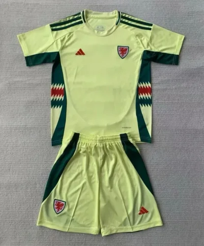 2024 Wales Euro Away Kids Kit