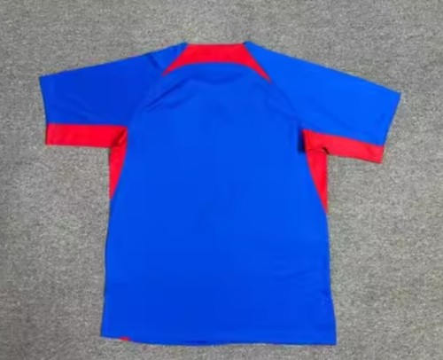 Fan version | 2024 Slovakia Euros Home Jersey