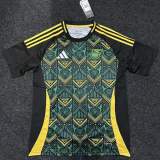 Fan Version | 24/25 Jamaica Away Jersey