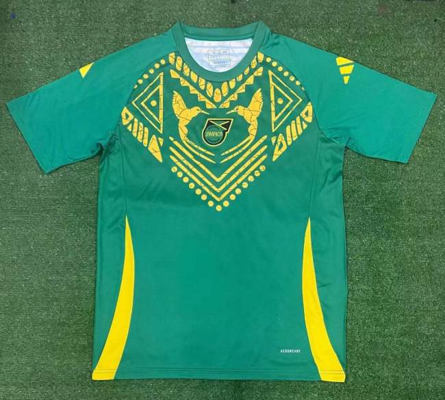 Fan Version | 24/25 Jamaica Training Jersey